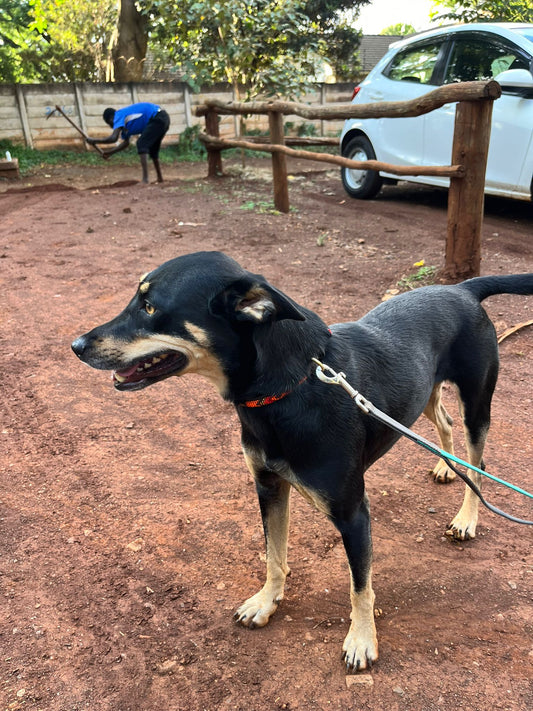 PERSONALISED HANDCARVED ART COMMISSIONS