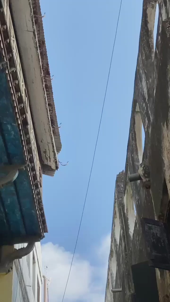 Lamu Carved Doors Tour